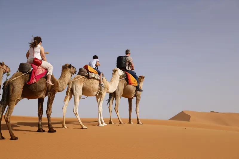 A group of travelers riding camels across the Sahara dunes